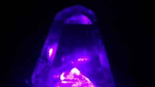 Intonation...(Botanical Dimensions)