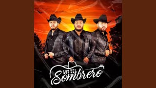 Chiquilin y Meño Avendaño (En Vivo)