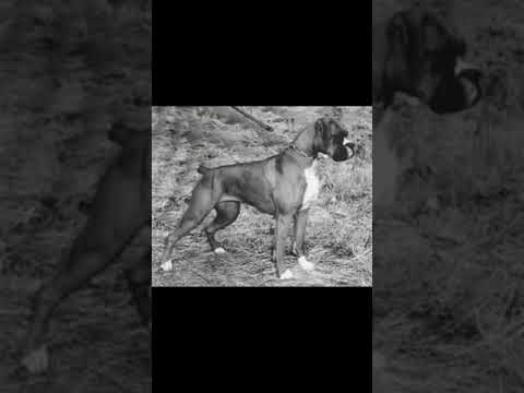 9 февраля 2025 г.