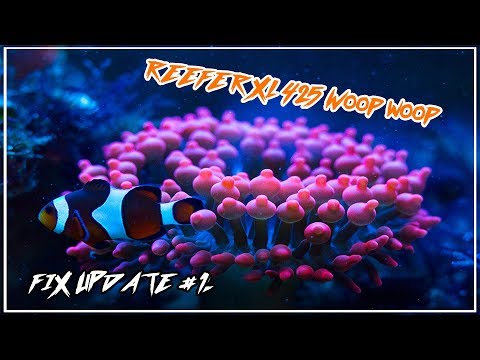 Red Sea Reefer XL 425 Fix Update #2 / Tech Talk und Co Hanna Checker  | Marcoboom