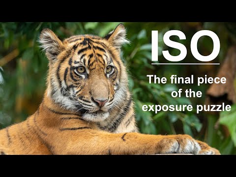 Photography School #9: ISO - The Final Piece Of The Exposure Puzzle
