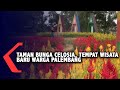 Lagi Hits Taman Bunga Celosia Tempat Wisata Baru Warga Palembang