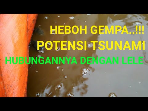 Melakukan kerusakan impotensi Cavinton mempengaruhi potensi