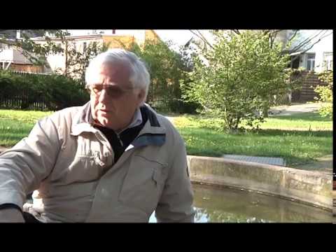 Zeitzeugengespräch: Hohenstein Ernstthal