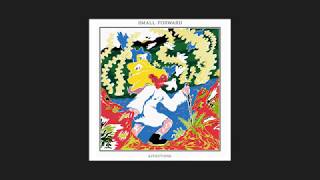 SMALL FORWARD - THE RESERVOIR