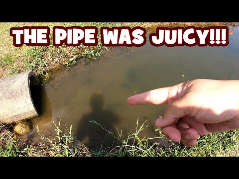 MICRO FISHING the JUICIEST PIPE in the RESERVOIR...!!! | BR24-EP2