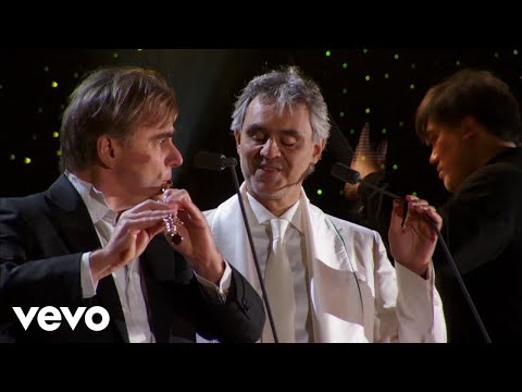 Flight of the Bumblebee - Live From Central Park, USA / 2011