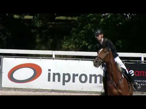 Czech Junior Cup - Kompletní videozáznamy z ČSP 2018 v Hořovicích