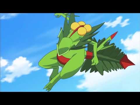 Ash Greninja VS Sceptile | “Stay” Montage