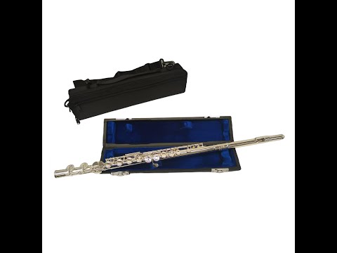 Schiller Model 300 Flute W/Sterling Silver Lip Plate and Engraving image 7