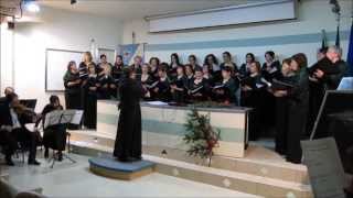 preview picture of video 'Armonie in Voce   Concerto Buzzi 14 febbraio 2014'