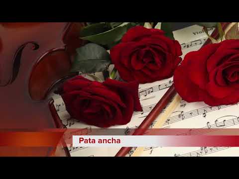 Osvaldo Pugliese -  Instrumental / Suipacha - Pata ancha - Julie