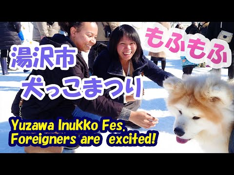Foreigners are also excited about the Akita Yuzawa City Dog Festival! (湯沢市犬っこまつりに外国人も大興奮!)