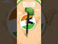 Kargil Vijay Diwas Short Video WhatsApp Status Wishes And Celebration All Sketch Art