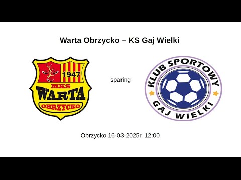Warta Obrzycko - KS Gaj Wielki