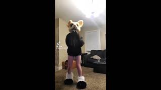 Download lagu Furry twerk compilation!!!! mp3 Download lagu Furry twerk compilation!!!! mp3