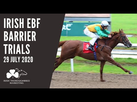 Irish EBF Barrier Trials - Unraced horses for sale! - 29 July 2020
