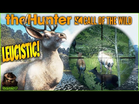 Hunting For EVERY Super Rare Red Deer Leads To A TINY Leucistic! Call of the wild