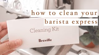 how to clean your breville barista express for the first time | step by step guide for beginners