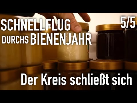 The circle closes | Fast flight through the bee year (5/5)