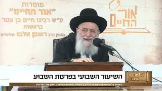 ביאורים על פרשת השבוע - פרשת אמור תשפ"ו