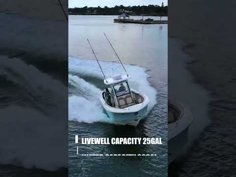 What do you know about the Everglades 285?