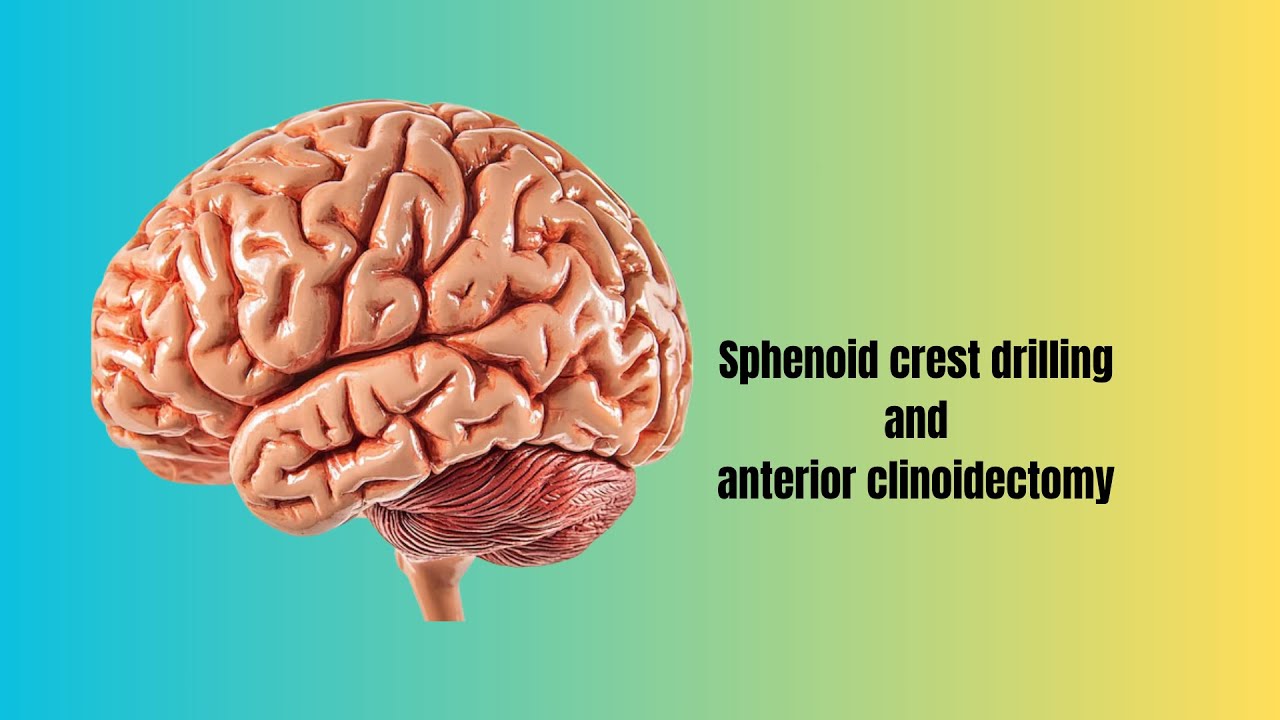 David Tafur Muñoz-2482