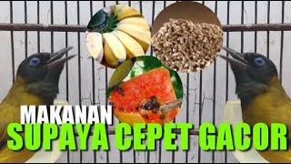 Download lagu Makanan Alami Supaya Cepet Gacor mp3 Download lagu Makanan Alami Supaya Cepet Gacor mp3