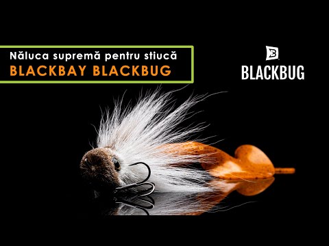 Blackbay BlackBug 28cm 85g Black Cinnamon