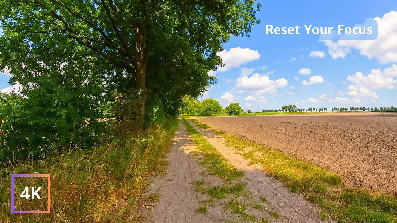 Nature Walks Boost Focus and Mindfulness, Studies Show