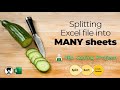 How to split Excel data into many sheets - VBA coding project