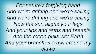 Devendra Banhart - When The Sun Shone On Vetiver Lyrics