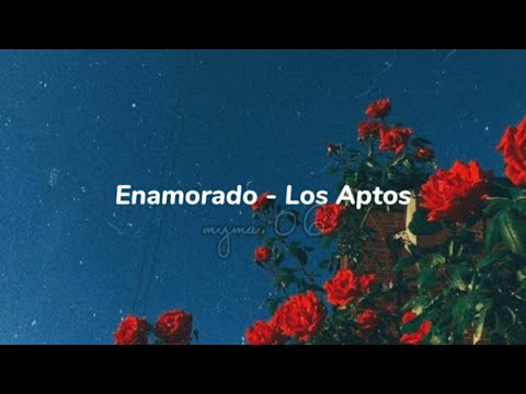 Enamorado - Los Aptos,Letra 🌹❤