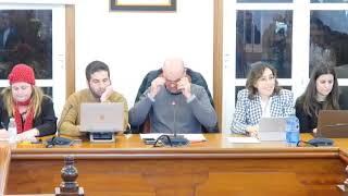 Pleno ordinario marzo 2025