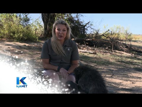 ‘Liefde en respek’ – Groen: Namibië  | kykNET