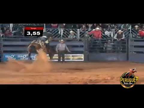 A tradição do Rodeio Cutiano - Tropa do Peruque