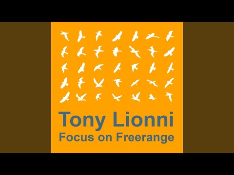 Tony Lionni Focus On : Freerange (Continuous Mix)