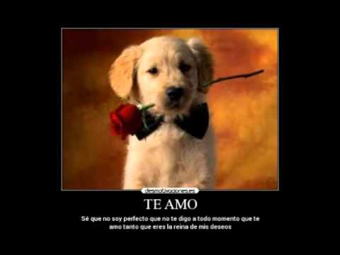 Mi Declaración - Lil Silvio & El Vega Feat. Bigal & L Jake