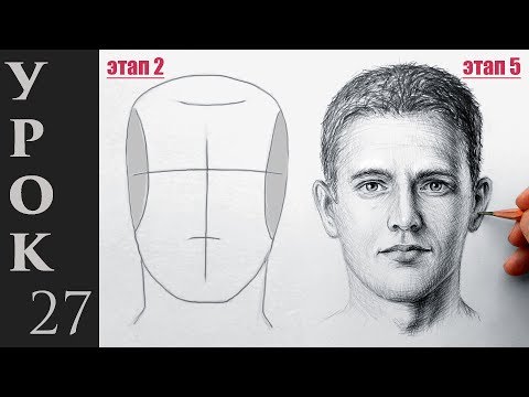 Как нарисовать портрет, лицо и голову человека. Техника Эндрю Лумиса.