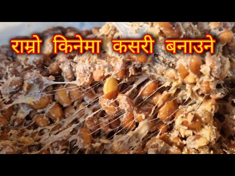 किनेमा कसरी बनाउने | किनेमा बनाउने तरिका | How to make Kinemaa - fermented soyabean