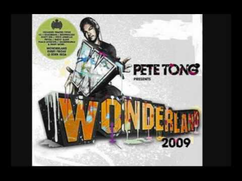 Magnificent (Tong And Rogers Wonderland Dub) - U2