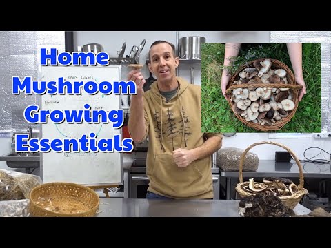 Easily Grow Mushrooms at Home: The Essentials of Growing Indoors & Out