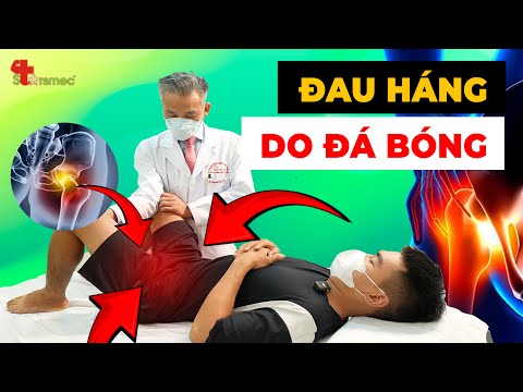 Đau Háng Sau Khi Đá Bóng? Đừng Để Cơn Đau Lâu Dài Làm Khó Bạn!