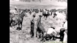 CATTLE CALL