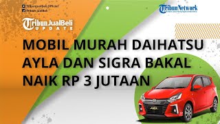 Siapkan Dana Lebih, Harga Mobil Murah LCGC Daihatsu Ayla dan Sigra Bakal Naik hingga Rp 3 Jutaan
