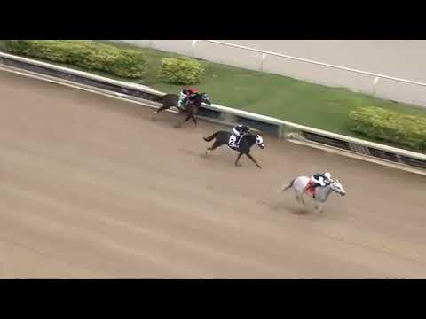 RACE 1 Gulfstream 03 Oct 2025