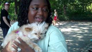 Rosie in the Middle - Central Park - September 2012