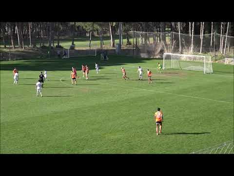 ТОРПЕДО-БЕЛАЗ - ШАГАДАМ - 2:1. Обзор.