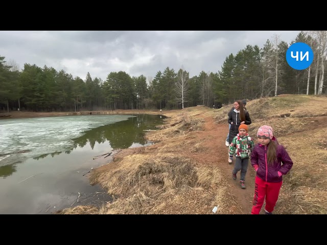 Чайки, утки и ондатры в парке «Прибрежный»
