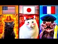 Meme Cats Different Countries